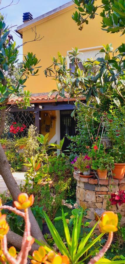 B&B Giomar Sardegna Nord Ovest Campanedda Extérieur photo