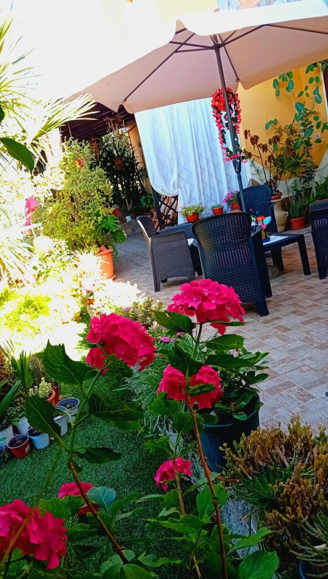 B&B Giomar Sardegna Nord Ovest Campanedda Extérieur photo